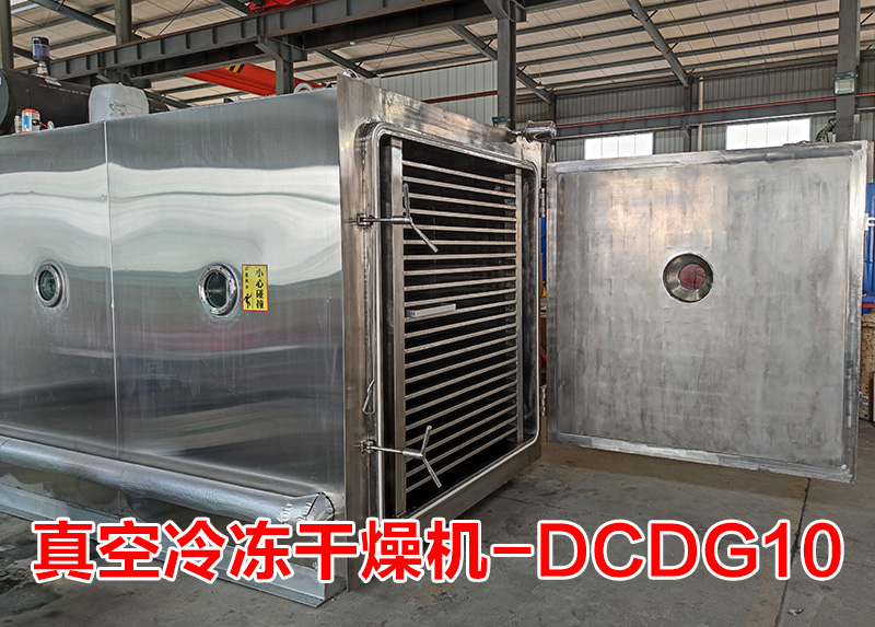 真空冷冻干燥机(DCDG-10)