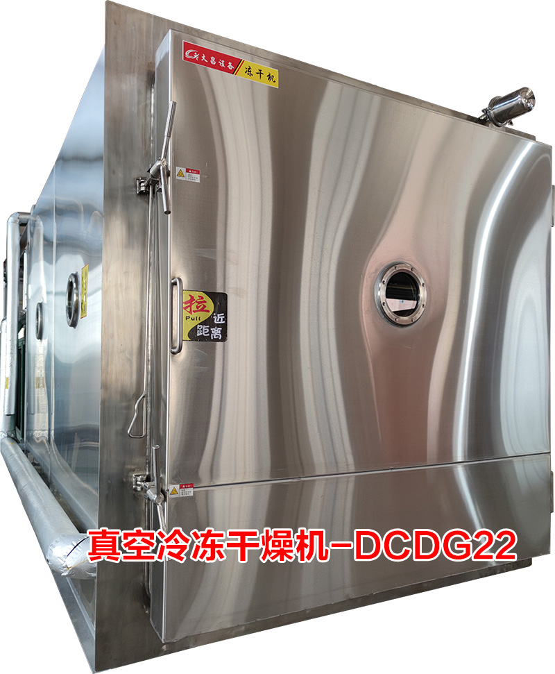 真空冷冻干燥机(DCDG-22)